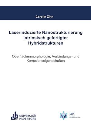 Laserinduzierte Nanostrukturierung intrinsisch gefertigter Hybridstrukturen