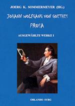 Johann Wolfgang von Goethes Prosa. Ausgewählte Werke I