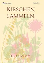 Kirschen Sammeln