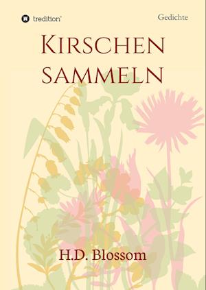 Kirschen Sammeln