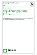 Regulierungsprinzip Effizienz