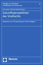 Zukunftsperspektiven des Strafrechts