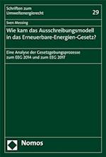 Wie kam das Ausschreibungsmodell in das Erneuerbare-Energien-Gesetz?