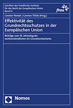 Effektivität des Grundrechtsschutzes in der Europäischen Union