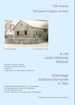 Ehemalige Jüdische Gemeinde  in Sály