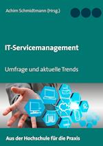 It-Servicemanagement (in Owl)