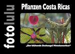 Pflanzen Costa Ricas