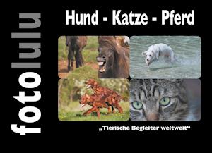 Hund - Katze - Pferd