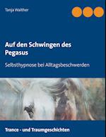 Auf den Schwingen des Pegasus