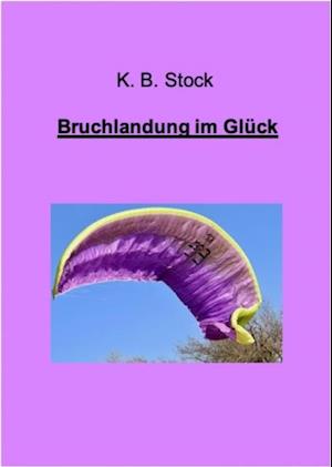 Bruchlandung im Glück