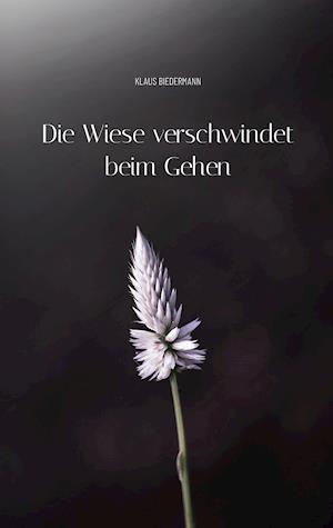 Die Wiese verschwindet beim Gehen