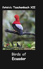 Birds of Ecuador