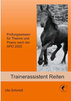 Trainerassistent Reiten