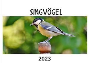 Singvögel