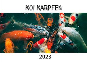 Koi-Karpfen