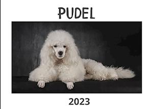 Pudel