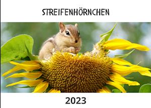 Streifenhörnchen