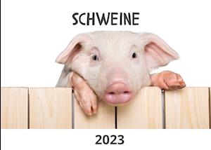 Schweine