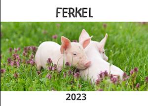 Ferkel