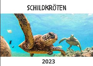 Schildkröten