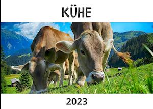 Kühe