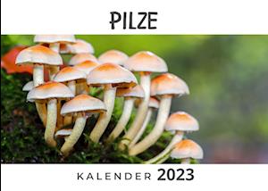 Pilze