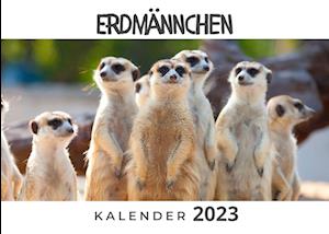 Erdmännchen