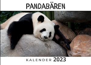 Pandabären