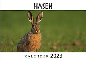 Hasen