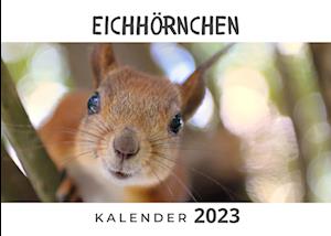 Eichhörnchen