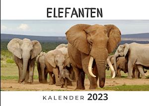 Elefanten