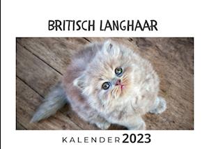 Britisch Langhaar