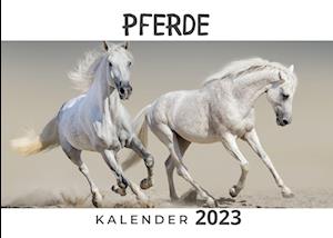 Pferde