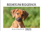 Rodhesian Ridgeback