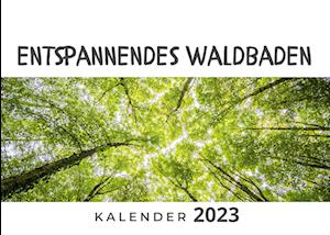 Entspannendes Waldbaden