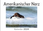 Amerikanischer Nerz (Wandkalender 2024, Kalender DIN A4 quer, Monatskalender im Querformat mit Kalendarium, Das perfekte Geschenk)