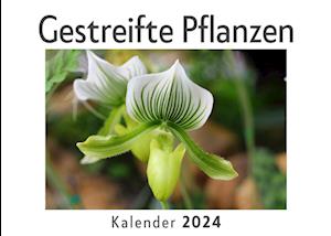 Gestreifte Pflanzen (Wandkalender 2024, Kalender DIN A4 quer, Monatskalender im Querformat mit Kalendarium, Das perfekte Geschenk)