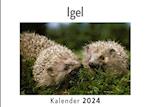 Igel (Wandkalender 2024, Kalender DIN A4 quer, Monatskalender im Querformat mit Kalendarium, Das perfekte Geschenk)