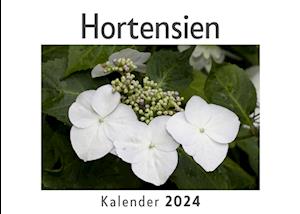 Hortensien (Wandkalender 2024, Kalender DIN A4 quer, Monatskalender im Querformat mit Kalendarium, Das perfekte Geschenk)