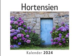 Hortensien (Wandkalender 2024, Kalender DIN A4 quer, Monatskalender im Querformat mit Kalendarium, Das perfekte Geschenk)