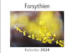 Forsythien (Wandkalender 2024, Kalender DIN A4 quer, Monatskalender im Querformat mit Kalendarium, Das perfekte Geschenk)