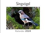 Singvögel (Wandkalender 2024, Kalender DIN A4 quer, Monatskalender im Querformat mit Kalendarium, Das perfekte Geschenk)
