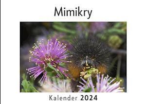 Mimikry (Wandkalender 2024, Kalender DIN A4 quer, Monatskalender im Querformat mit Kalendarium, Das perfekte Geschenk)