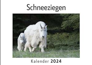 Schneeziegen (Wandkalender 2024, Kalender DIN A4 quer, Monatskalender im Querformat mit Kalendarium, Das perfekte Geschenk)