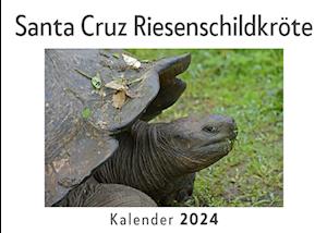 Santa Cruz Riesenschildkröte (Wandkalender 2024, Kalender DIN A4 quer, Monatskalender im Querformat mit Kalendarium, Das perfekte Geschenk)