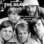 Ein Tribut an  The Beach Boys