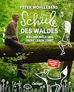 Peter Wohllebens Schule des Waldes