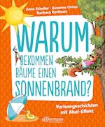 Warum bekommen Bäume einen Sonnenbrand?