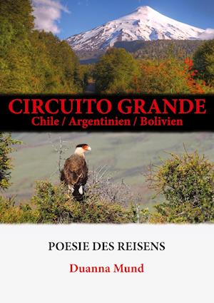 Circuito grande