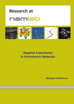 Negative Capacitance in Ferroelectric Materials